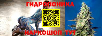 мдпв Новокубанск