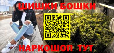 крисы Новозыбков