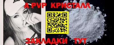 крисы Новозыбков